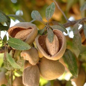 Untitled-1-Recovered-Recovered-Recovered-Recovered-Recovered-Recovered-Recovered