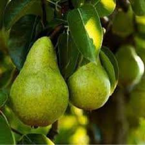 jpeg-optimizer_Untitled(2)